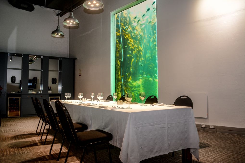 Tranquility Room Hourspace